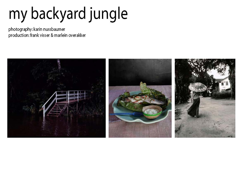 http://marleinoverakker.com/files/gimgs/4_suriname-my-backyard-jungle-2page01.jpg